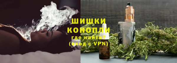 дмт Протвино